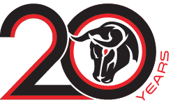 Diablo 20 Year Anniversary Logo